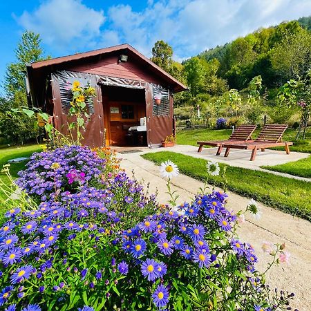 Cottage La Sierra With Jacuzzi コレニツァ エクステリア 写真