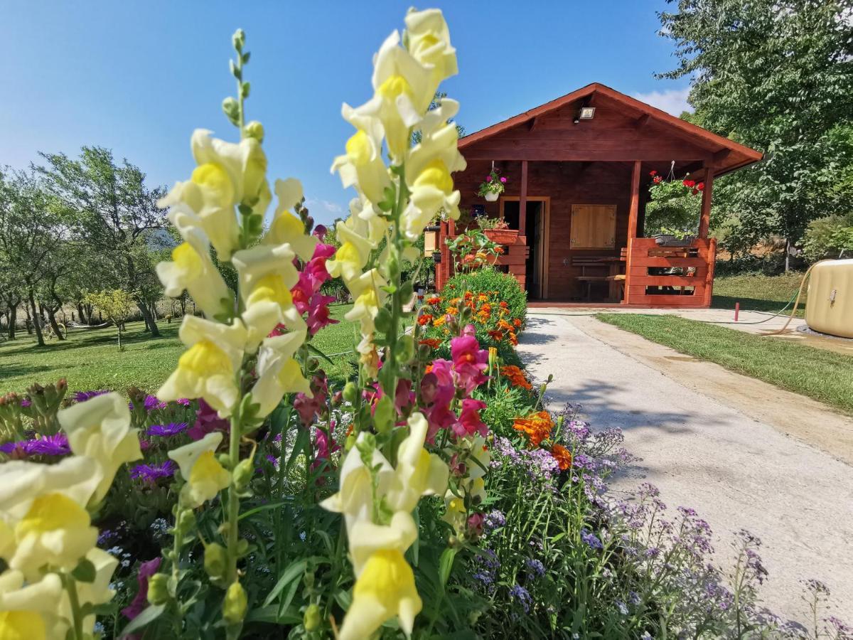 Cottage La Sierra With Jacuzzi コレニツァ エクステリア 写真