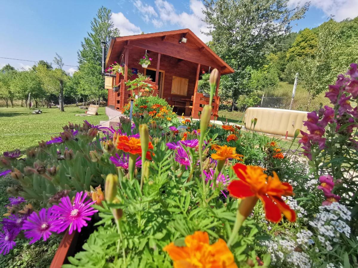 Cottage La Sierra With Jacuzzi コレニツァ エクステリア 写真