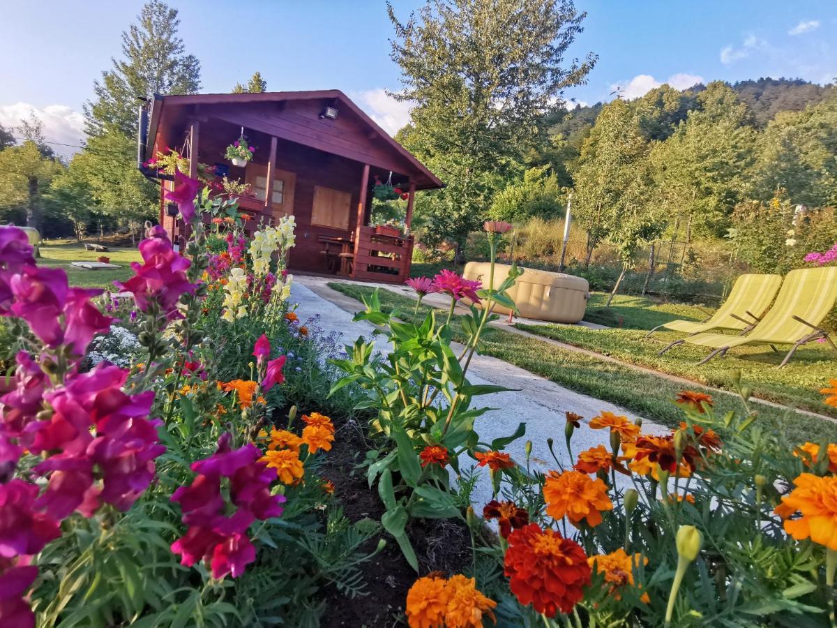 Cottage La Sierra With Jacuzzi コレニツァ エクステリア 写真