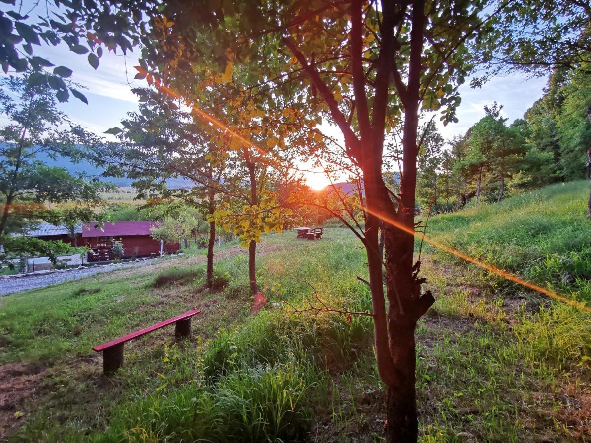 Cottage La Sierra With Jacuzzi コレニツァ エクステリア 写真